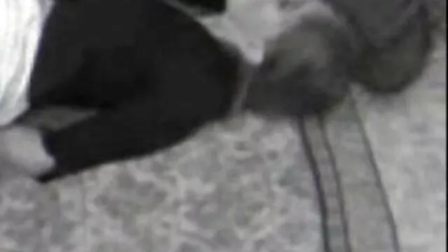 Sexo mamas caseras xxx porno con una hermosa chica en la ducha