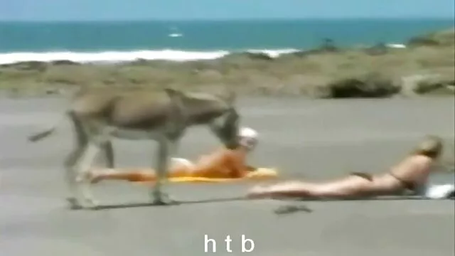 Rubia rusa follada duro traga mama e hijo sex ansiosamente una corrida bien merecida