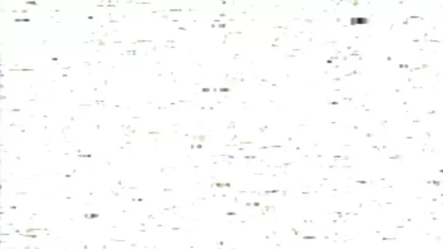 Gargantas sin fondo de chicas chupan pollas xxx mama y papa hasta las bolas